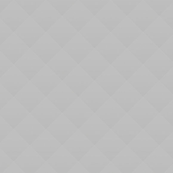 Exhibition of the Dutch Artist