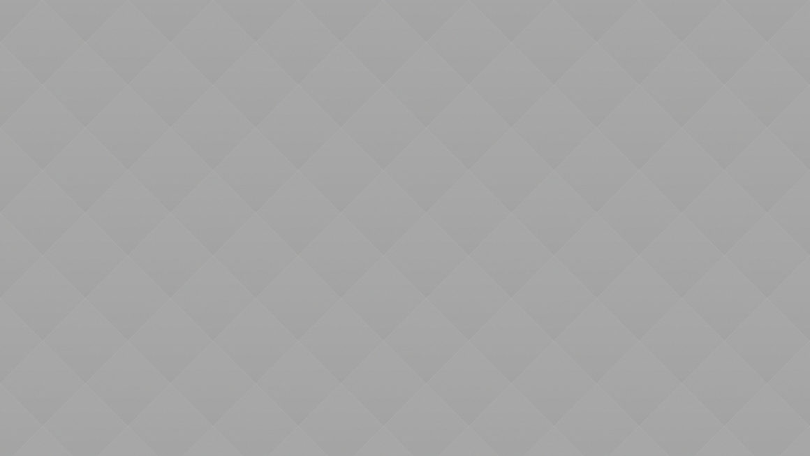 The Dutch painter Vermeer